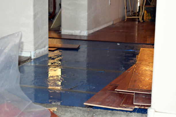 Professional Basement Water Removal technician working in Danbury, WI