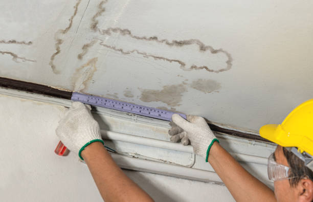 Reliable Basement Water Removal contractor in Danbury, WI by Water Damage Irwin